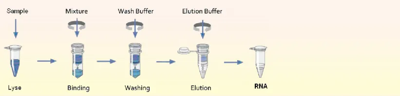 biofastspin-soil-stool-genomic-dna-rna-extraction-kit-detail-1.png