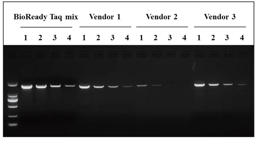 bioready-taq-mix-bioready-taq-mix-with-dye-detail-2.jpg