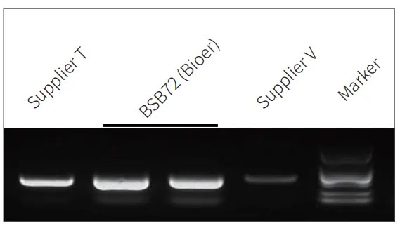 biort-master-one-step-rt-pcr-kit-with-dye-detail-1.jpg