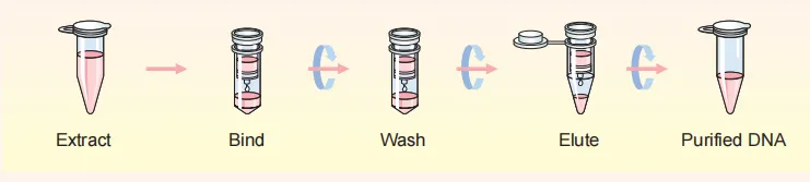 biospin-gel-extraction-kit-detail-1.png