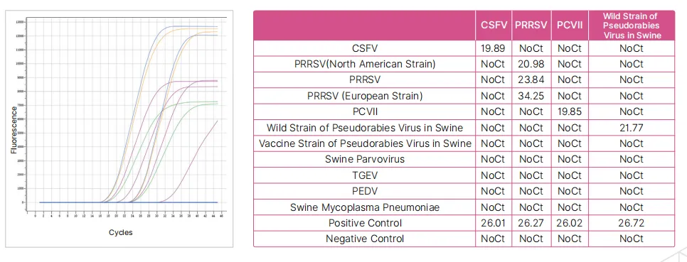 csfv-prrsv-pcvii-prv-ge-nucleic-acid-detection-kit-fluorescence-pcr-detail-1.jpg