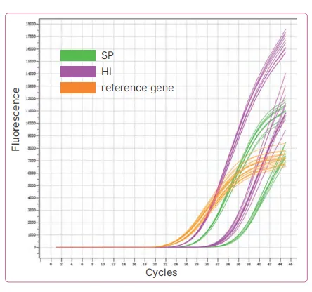 streptococcus-pneumoniae-and-haemophilus-influenzae-nucleic-acid-detection-kit-fluorescence-pcr-detail-2.jpg